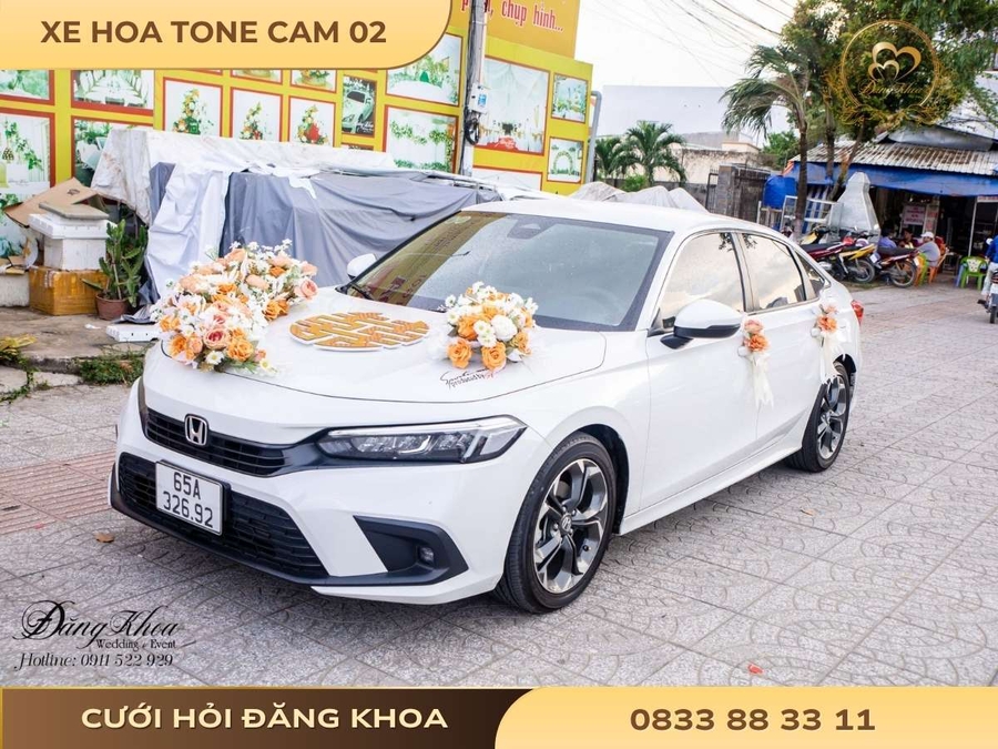 Xe hoa tone cam 02