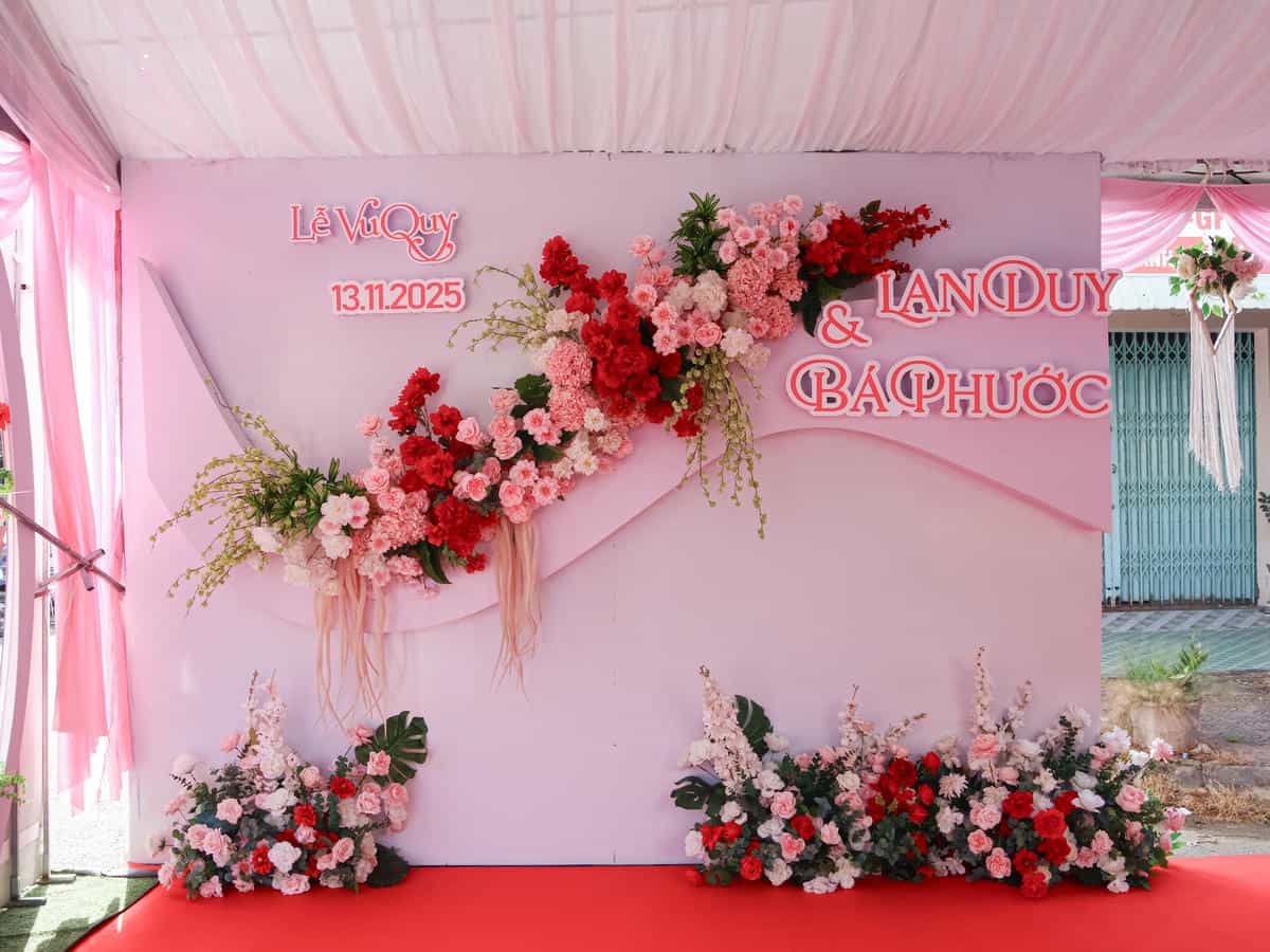 cuohoidangkhoa-backdroptonehongpastelmixdo