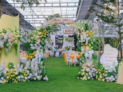 Concept Aurea Garden Wedding Tone Vàng Rực Rỡ 2026