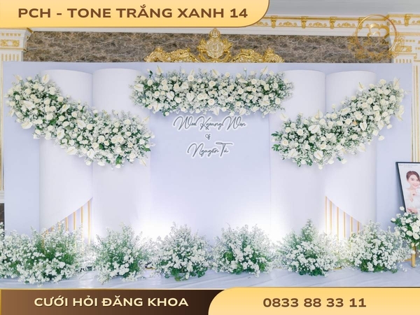 Phông chụp hình - tone trắng xanh 14