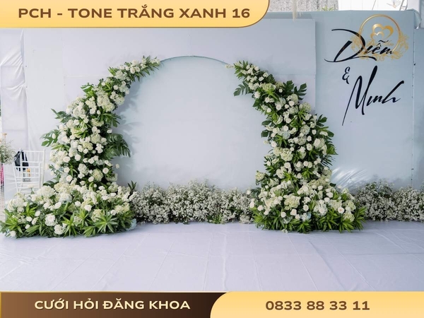 Phông chụp hình - tone trắng xanh 16