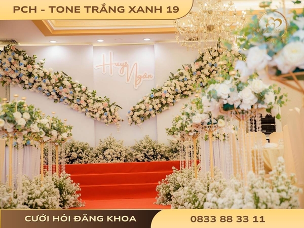 Phông chụp hình - tone trắng xanh 19