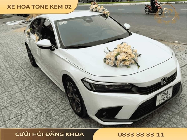 Xe hoa tone kem 02