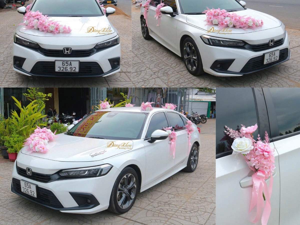 cuoihoidangkhoa-xehoatonehong01